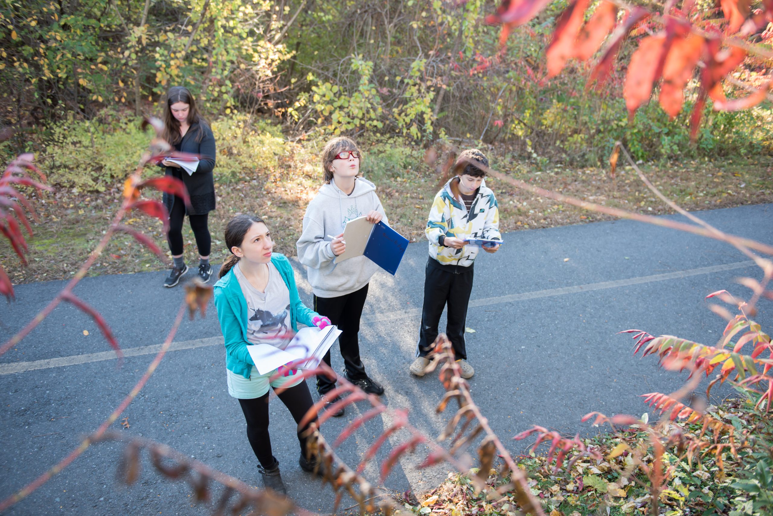 A Montessori Middle School class has a science class outside