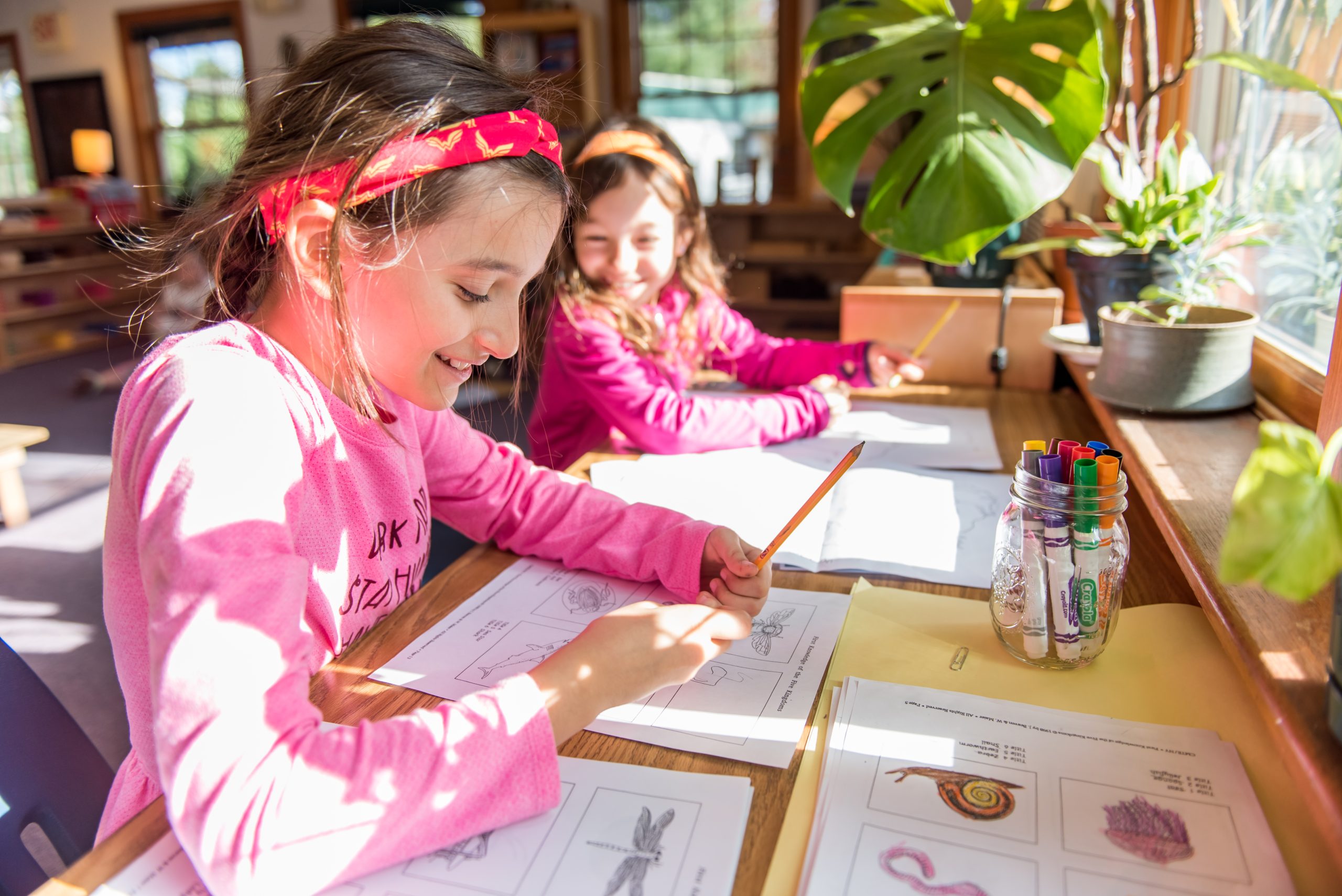 Two Montessori Lower Elementary students work on a biology assignment