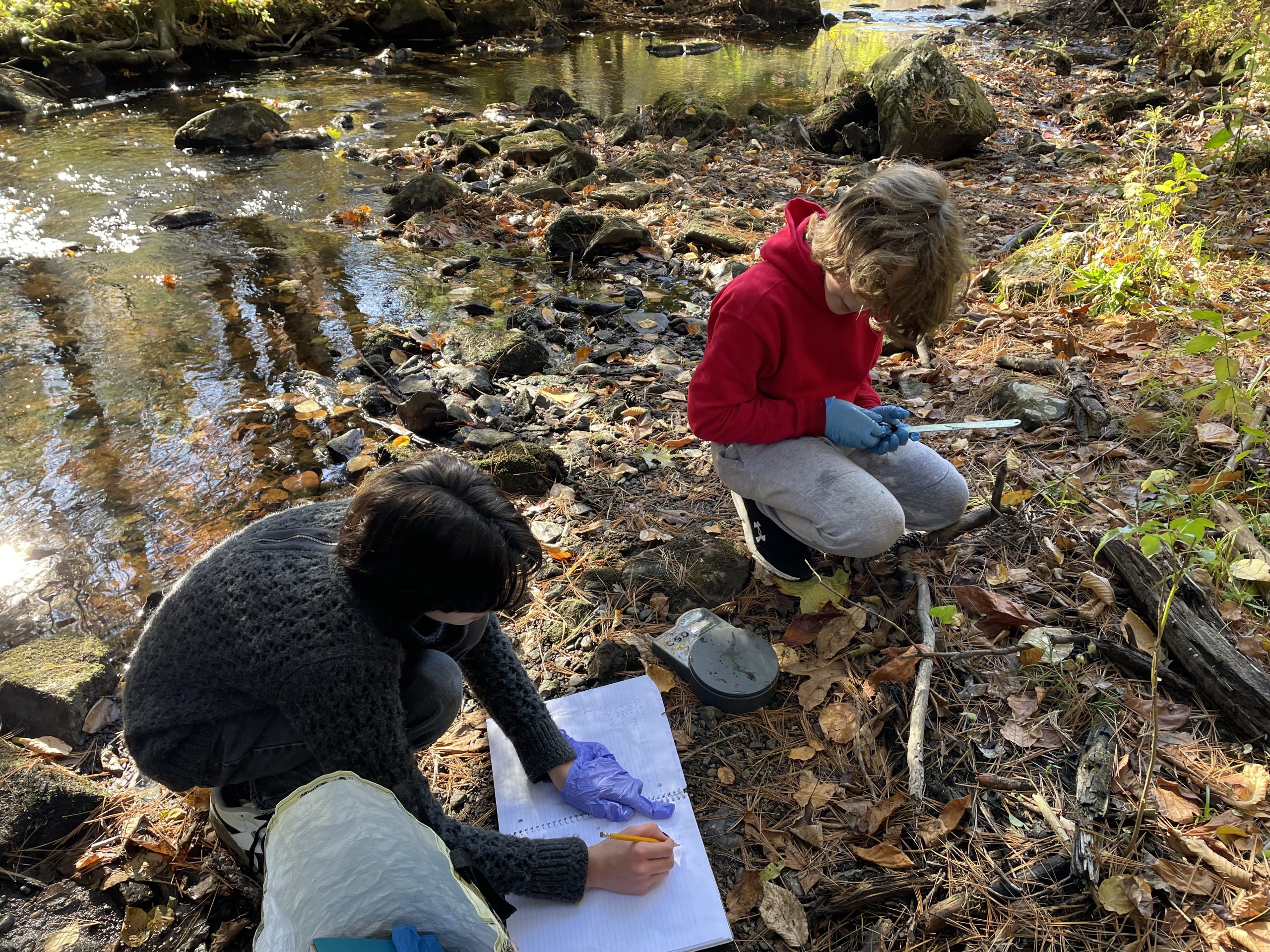 Two Montessori Middle School students work out in the field on a science project
